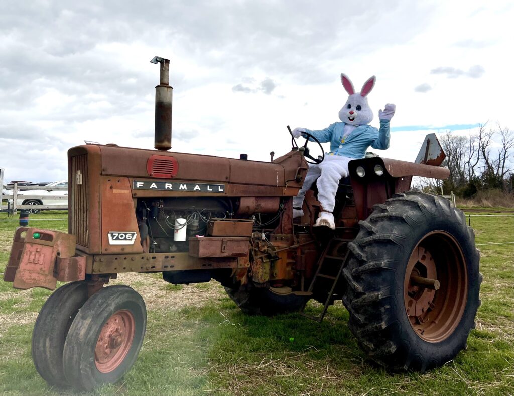 SPRING FEST & EGG HUNT