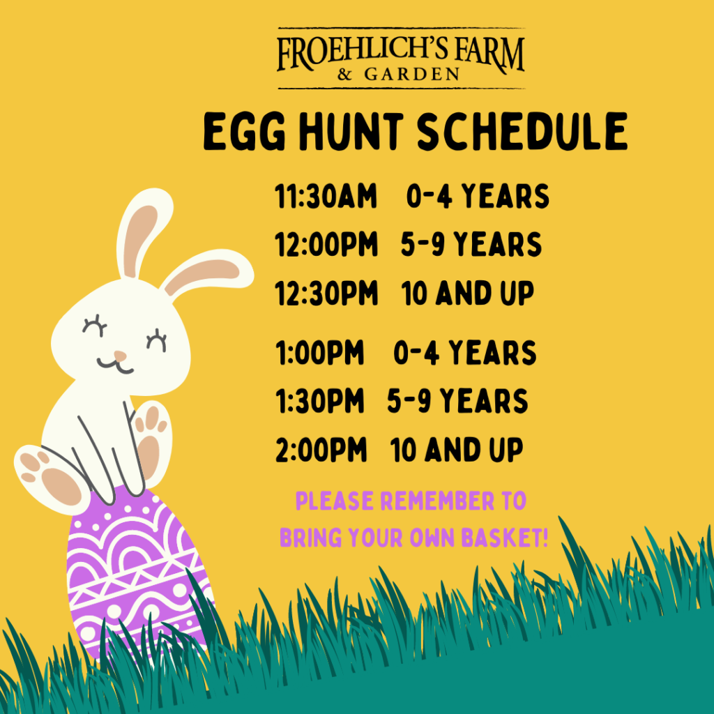 SPRING FEST & EGG HUNT