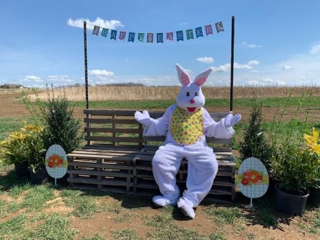 SPRING FEST & EGG HUNT